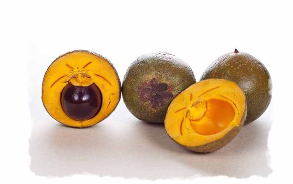 Lucuma fruit