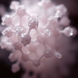 milk sugar molecules